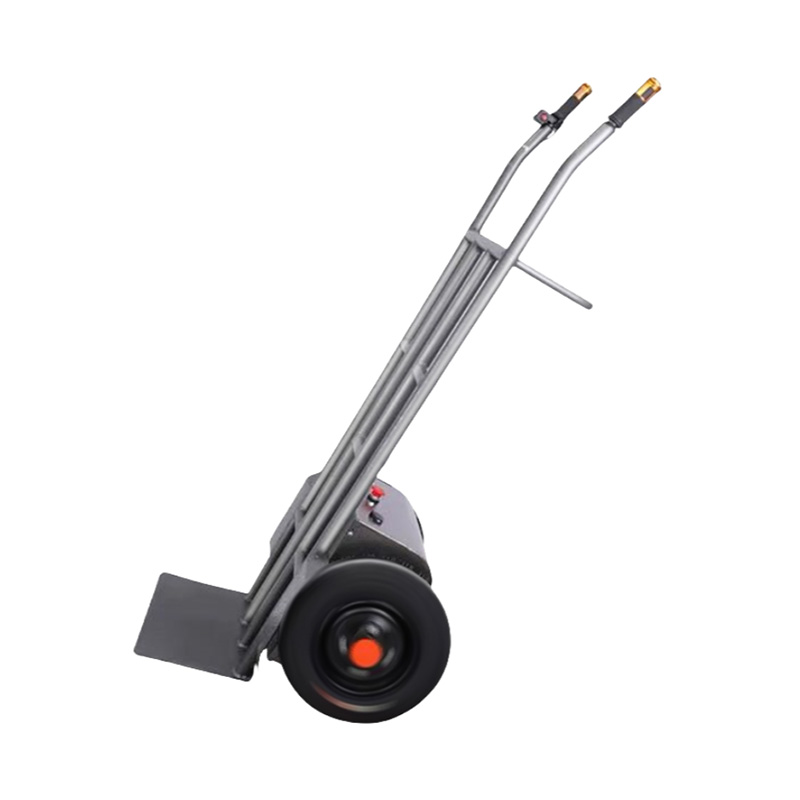 Electric two-wheeled tiger car