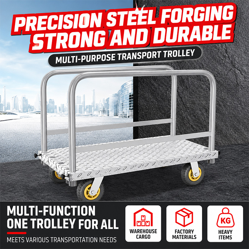 Thickened-Steel Detachable-Rail Cage Trolley